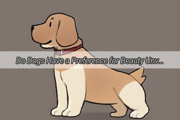 Do Dogs Have a Preference for Beauty Unveiling the Truth Behind Mans Best Friends Attraction